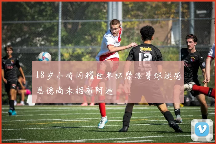 18岁小将闪耀世界杯摩洛哥球迷感恩德尚未招布阿迪