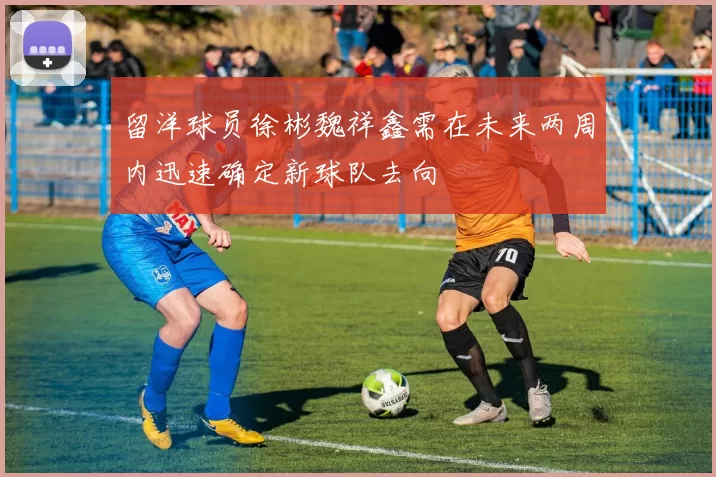 留洋球员徐彬魏祥鑫需在未来两周内迅速确定新球队去向